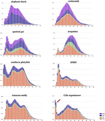 Draft Genome Assembly and Annotation of the Gila Topminnow Poeciliopsis occidentalis